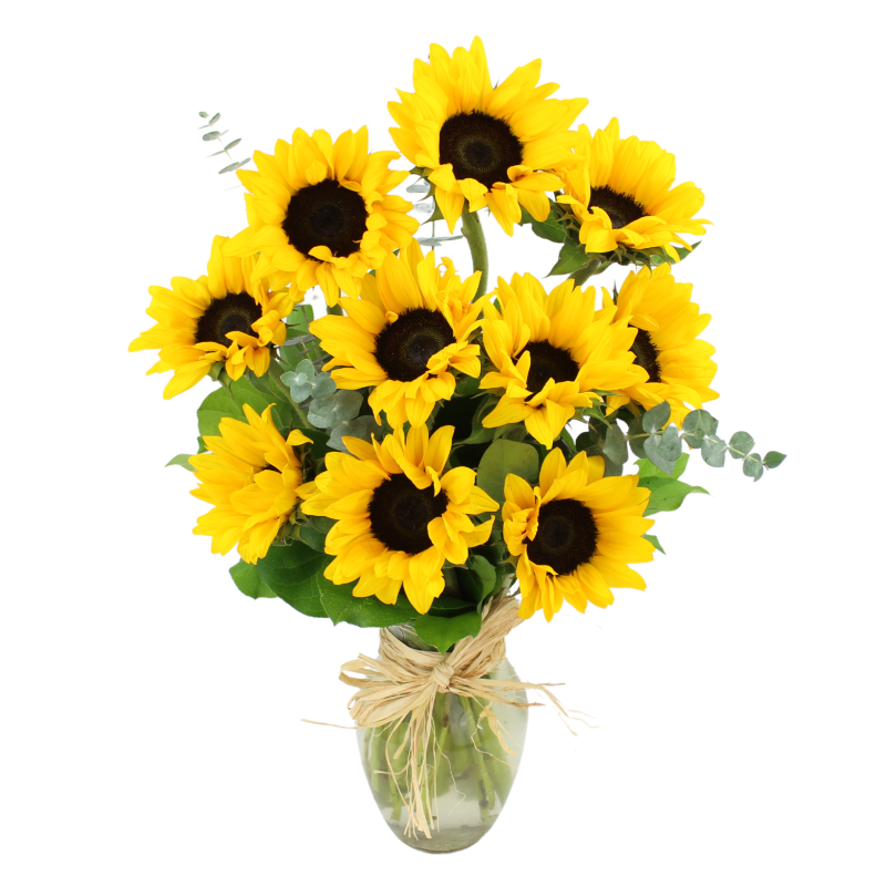 SIMPLY SUNFLOWERS - Same Day Delivery