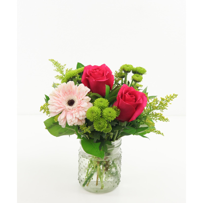 ROSE AND GERBERA PETITE (2 or more) - Same Day Delivery