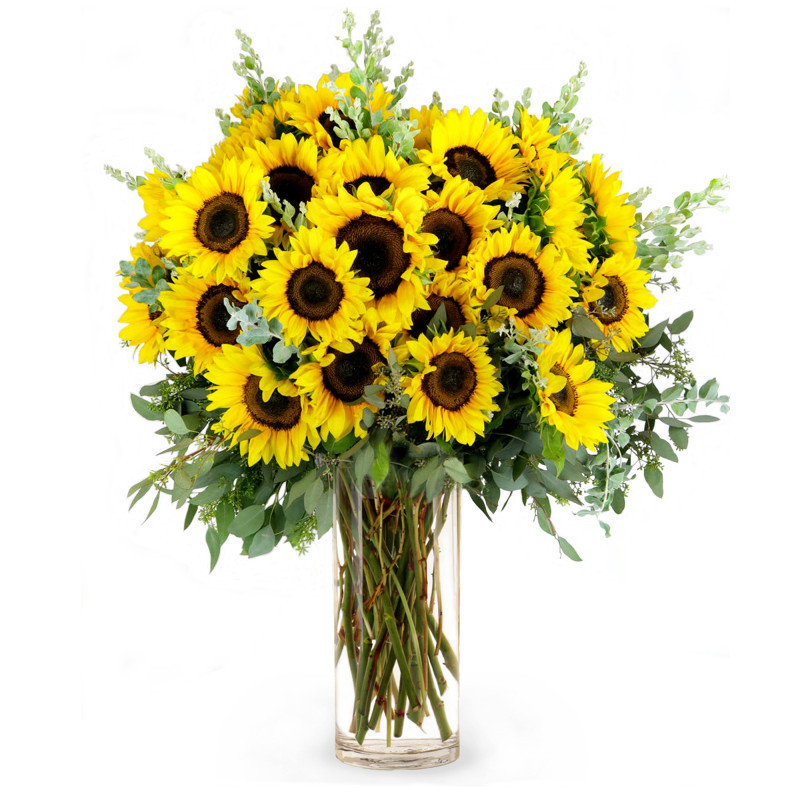 HERE COMES THE SUNFLOWERS - Same Day Delivery