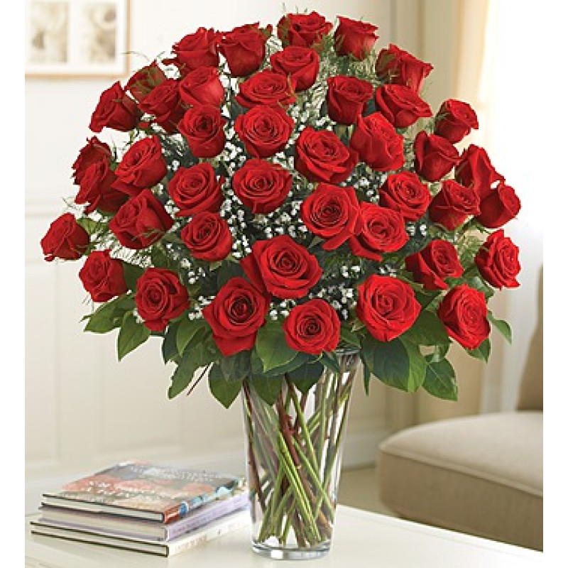 48 Red Roses Arranged - Same Day Delivery