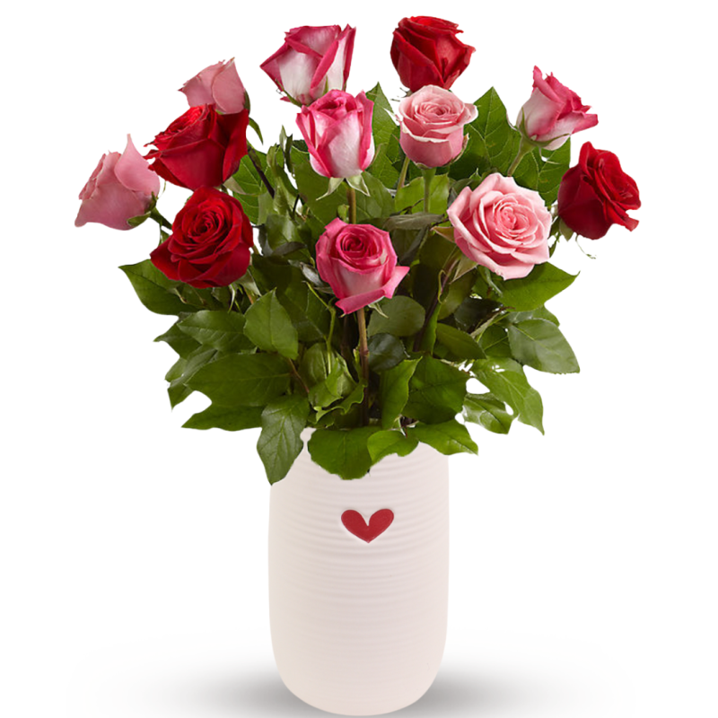 ROSE ROMANCE - Same Day Delivery