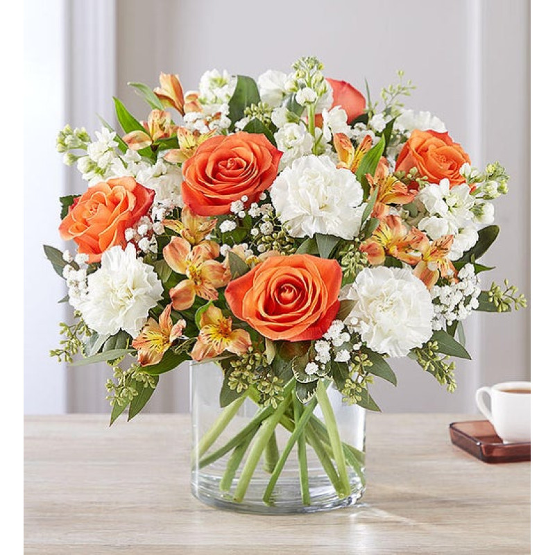 Sun Kissed Blooms - Same Day Delivery