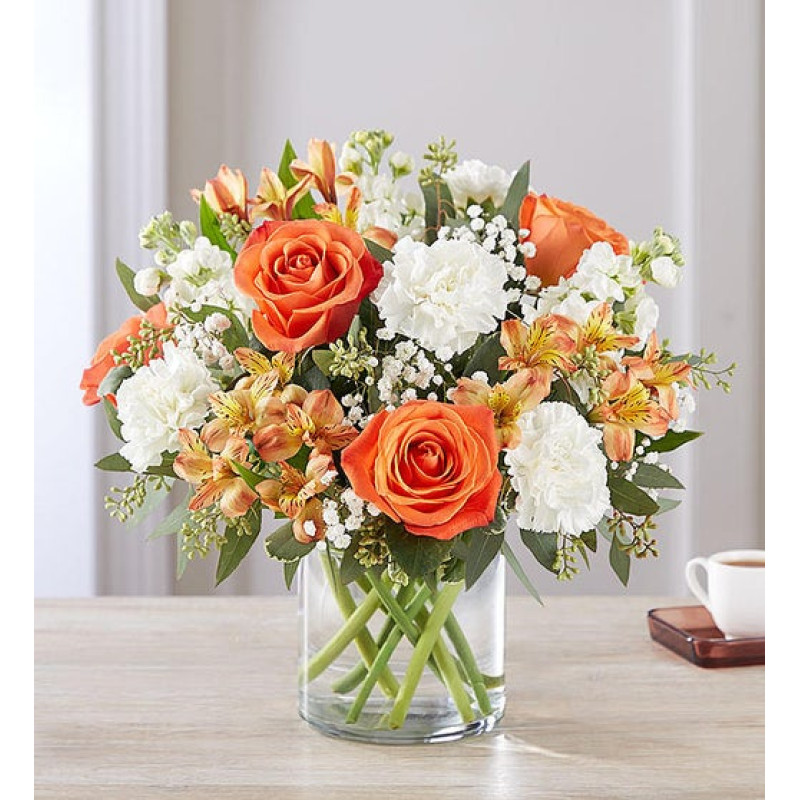 Sun Kissed Blooms - Same Day Delivery