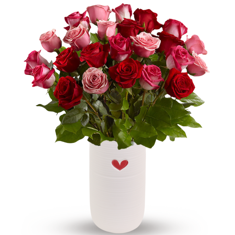 ROSE ROMANCE - Same Day Delivery