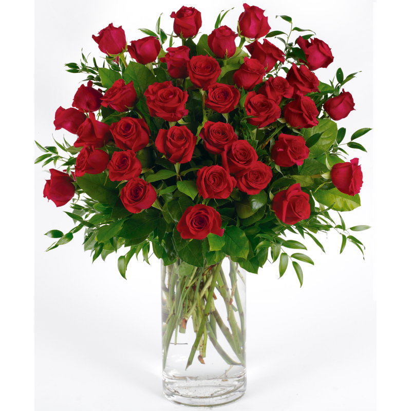 36 Premium Red Roses - Same Day Delivery