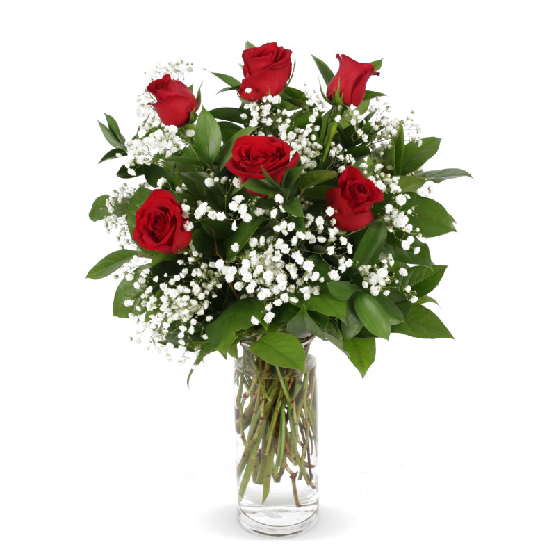 6 Red Roses Arranged In A Vase - Same Day Delivery