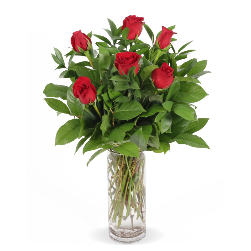 6 Red Roses Arranged In A Vase - Same Day Delivery