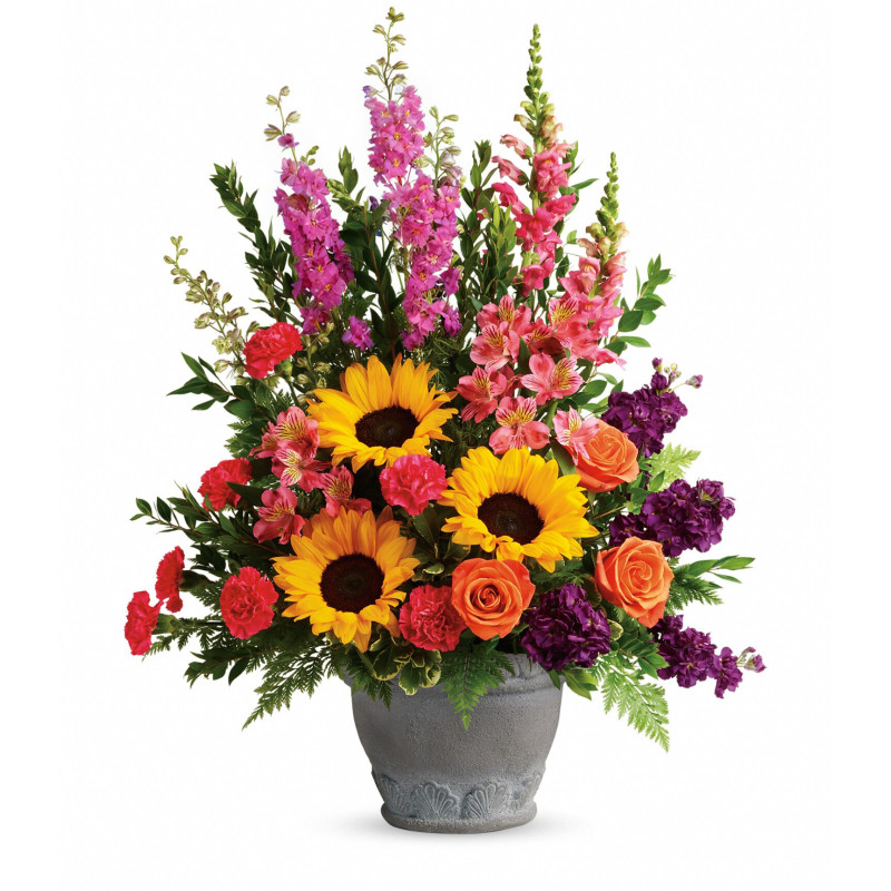 Hues of Hope - Same Day Delivery