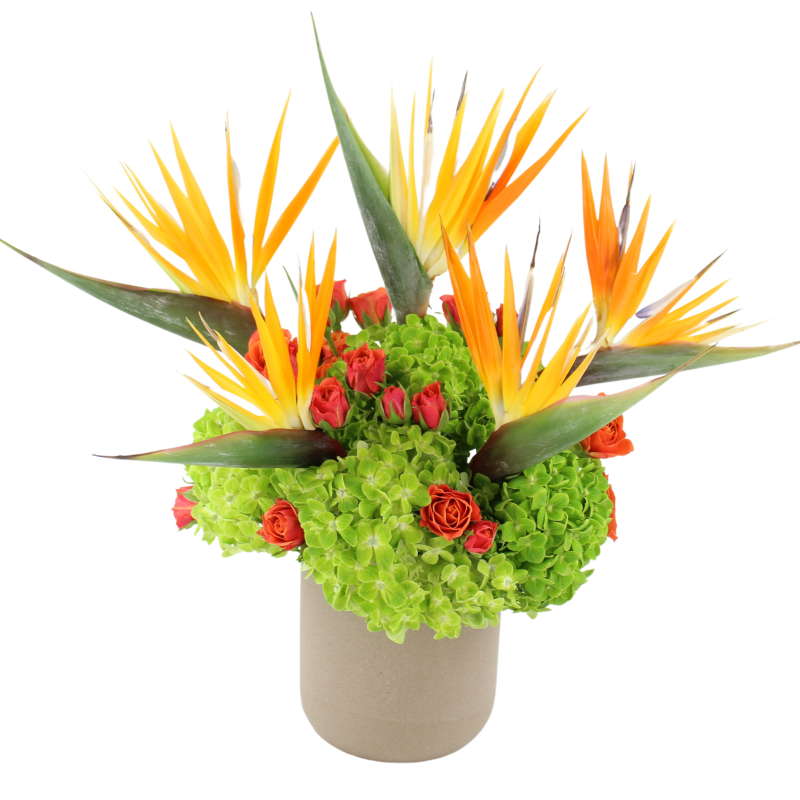 FREEBIRDS - Same Day Delivery