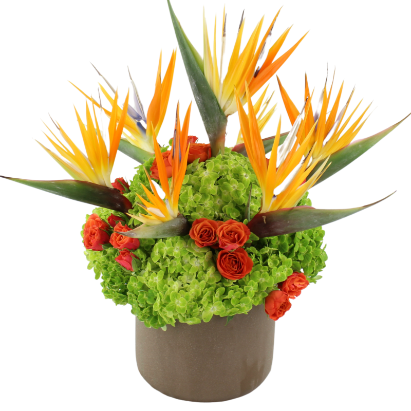 FREEBIRDS - Same Day Delivery