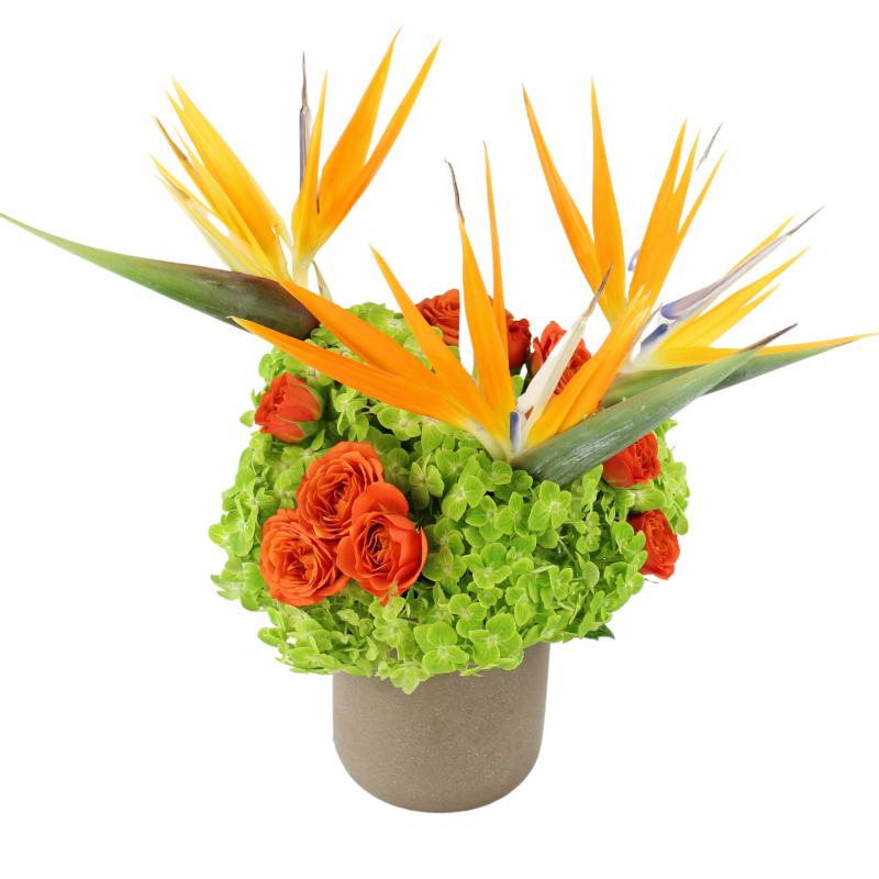 FREEBIRDS - Same Day Delivery