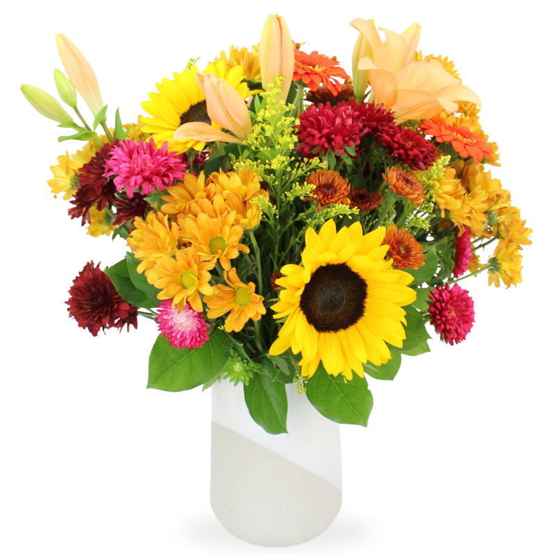 AUTUMN SERENADE - Same Day Delivery