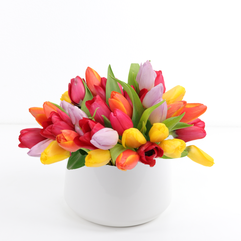 DOTTIES AMAZING TULIPS - Same Day Delivery