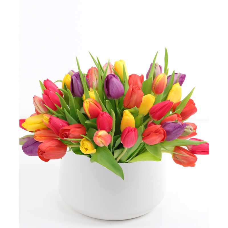 DOTTIES AMAZING TULIPS - Same Day Delivery