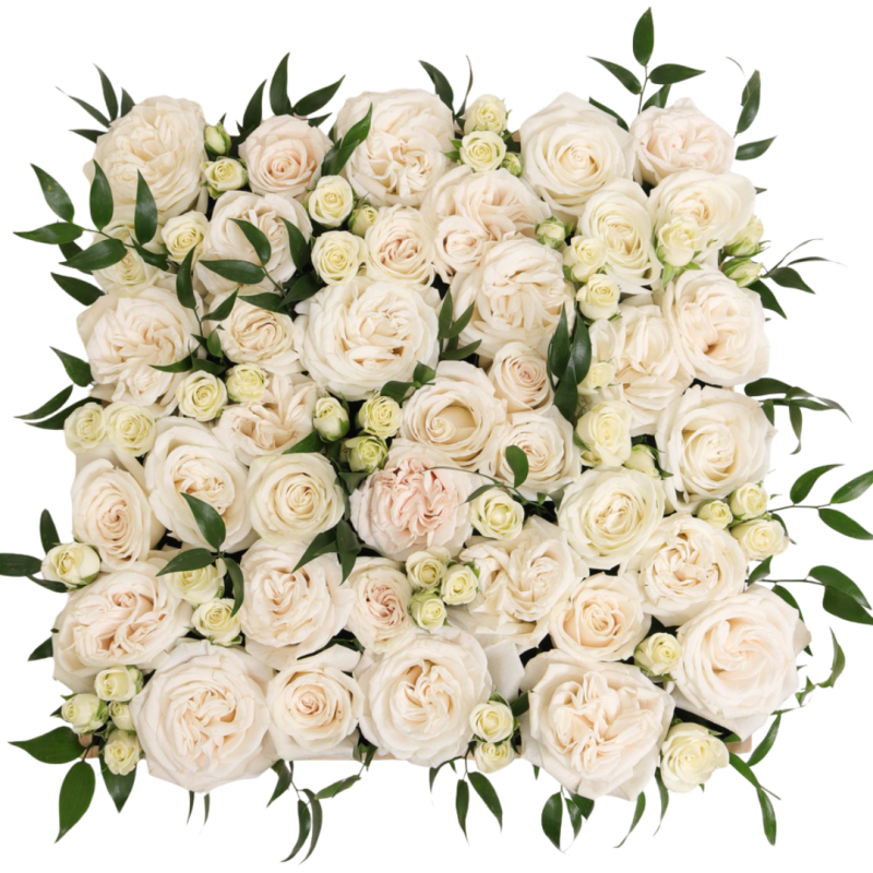 BED OF WHITE ROSES - Same Day Delivery