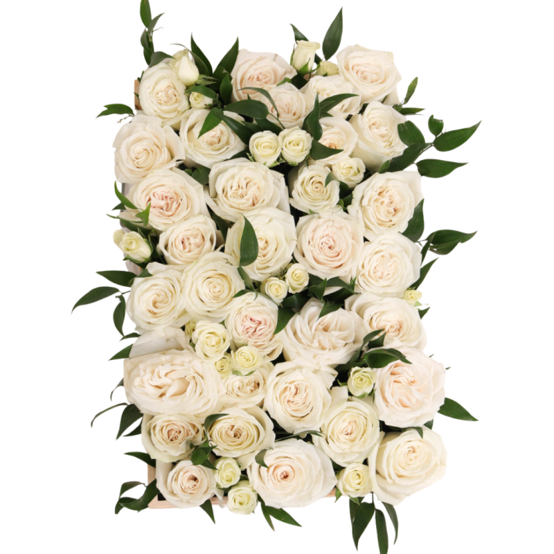 BED OF WHITE ROSES - Same Day Delivery