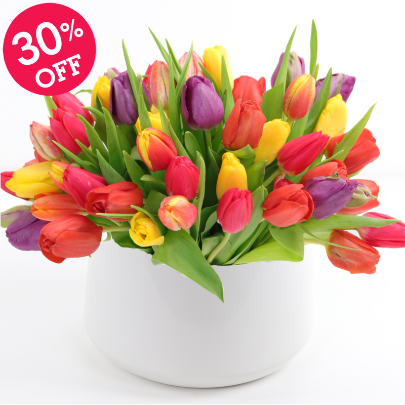 DOTTIES AMAZING TULIPS - Same Day Delivery