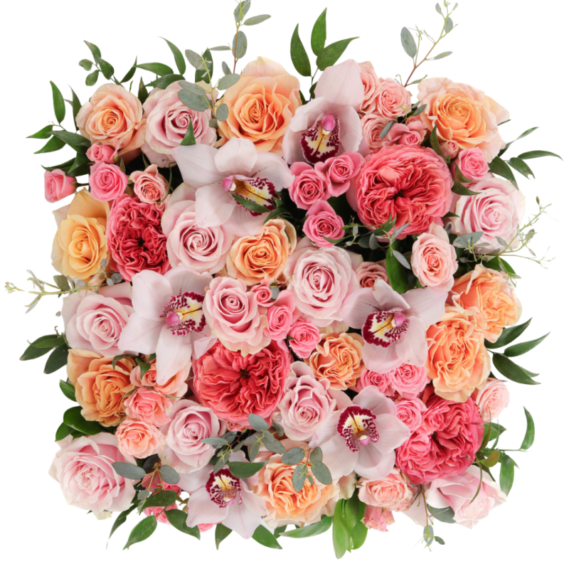 BRILLIANT BLUSH BOX - Same Day Delivery