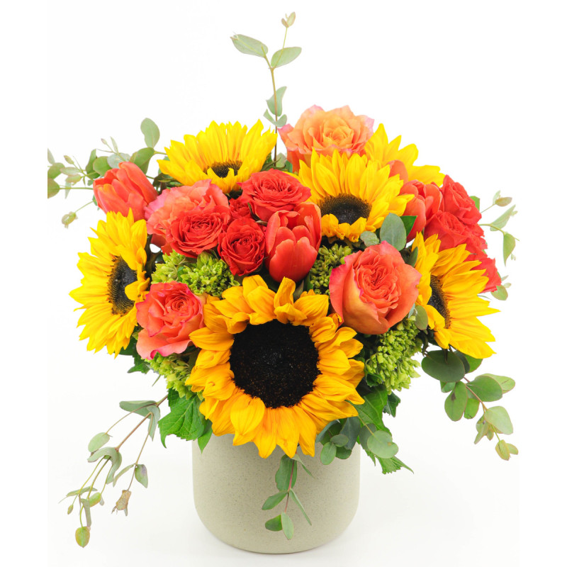 MR SUNSHINE - Same Day Delivery