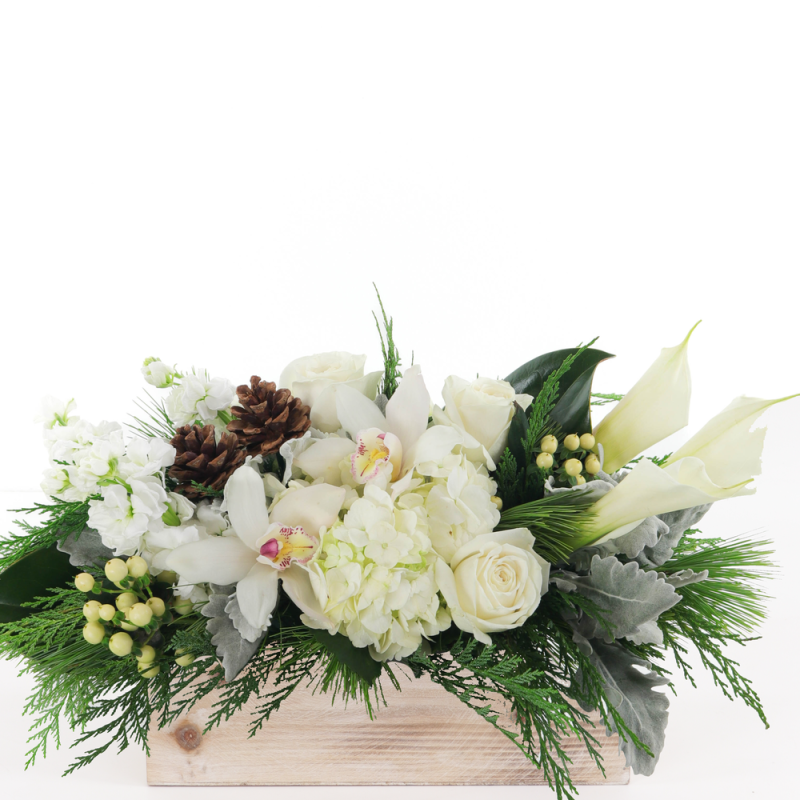 DASHING THROUGH THE SNOW - Same Day Delivery