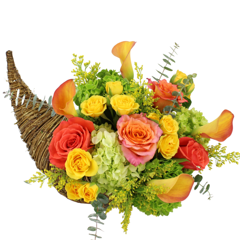 DOTTIES AUTUMN CORNUCOPIA - Same Day Delivery