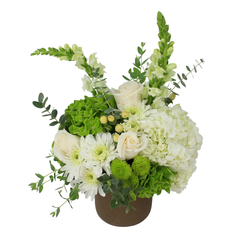 GARDEN WHITES - Same Day Delivery