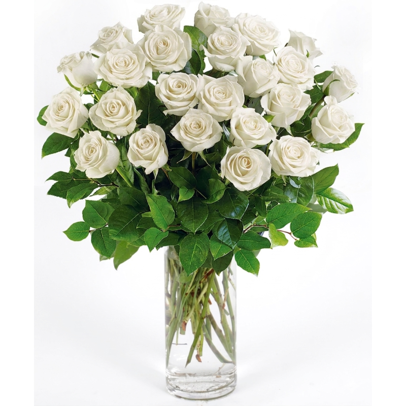 WHITE LONG STEM ROSES BY DOTTIES - Same Day Delivery