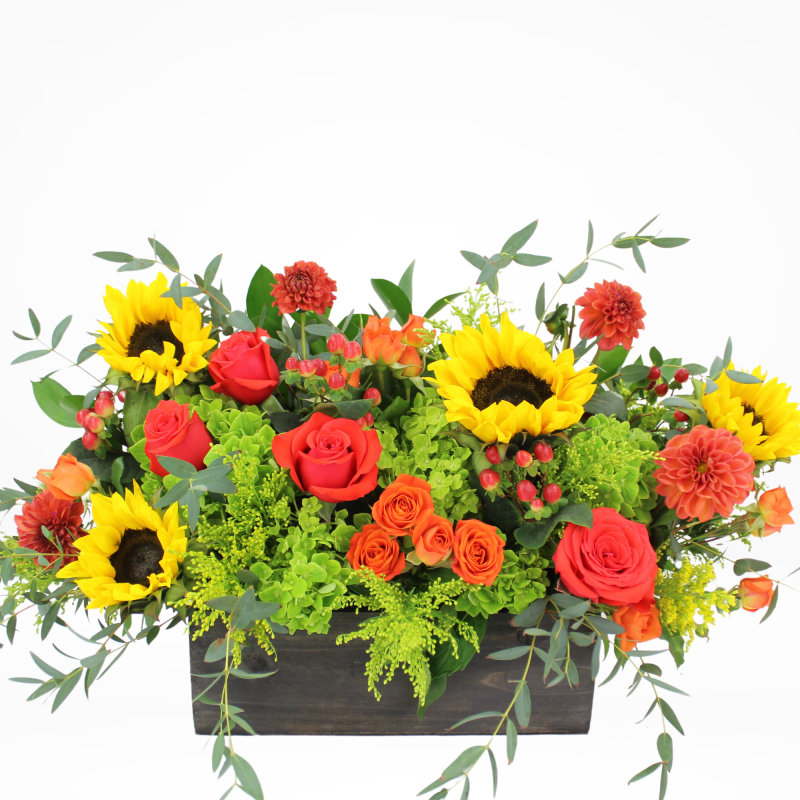 DOTTIES HARVEST CENTERPIECE - Same Day Delivery