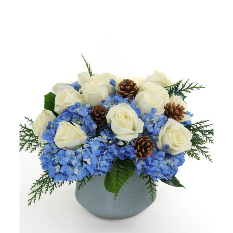 PACIFIC WINTER - Same Day Delivery