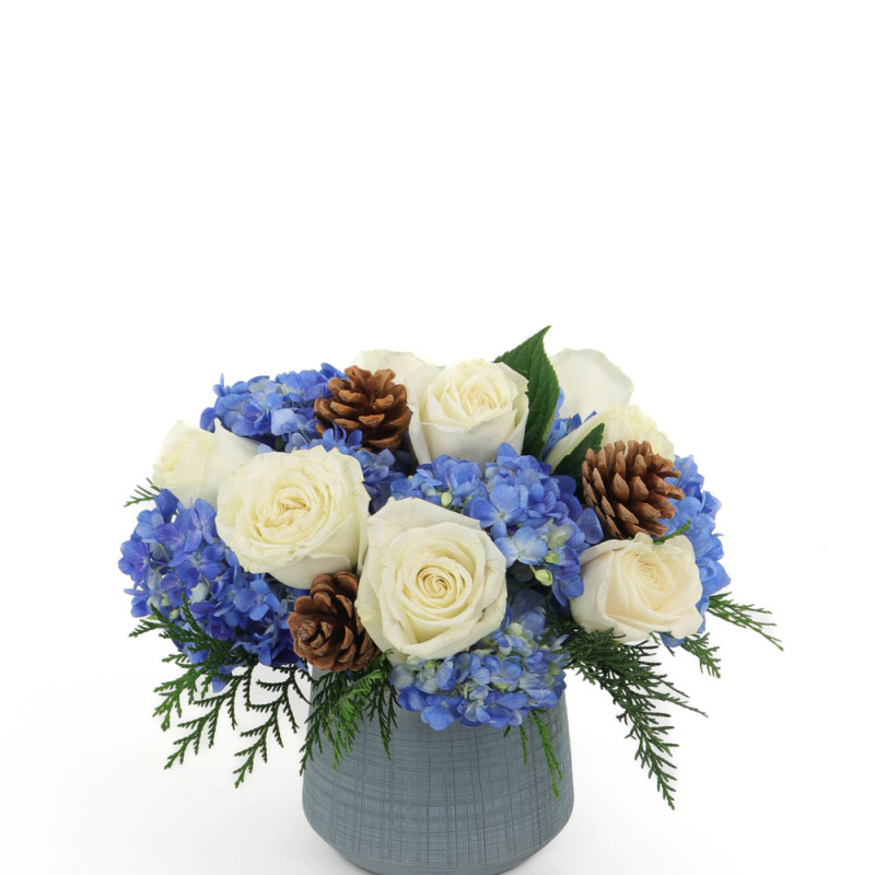 PACIFIC WINTER - Same Day Delivery