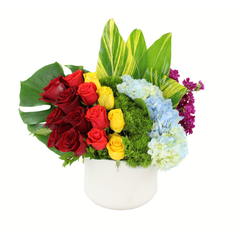 IN RAINBOWS - Same Day Delivery