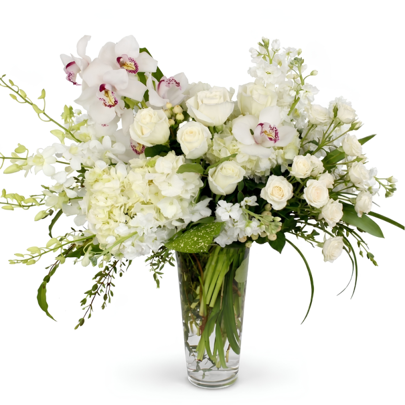 IVORY ELEGANCE - Same Day Delivery