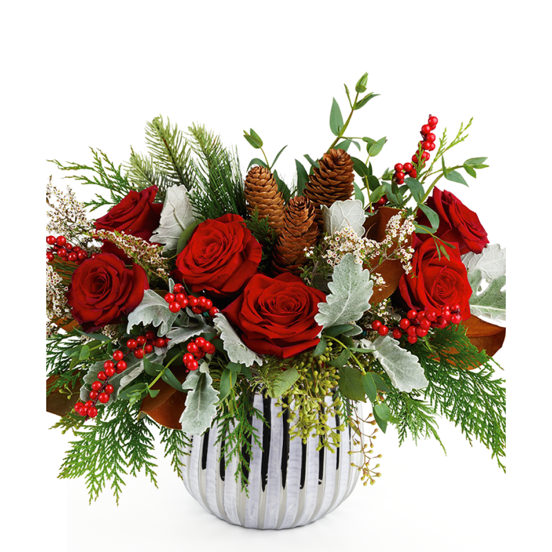 LA WINTER - Same Day Delivery