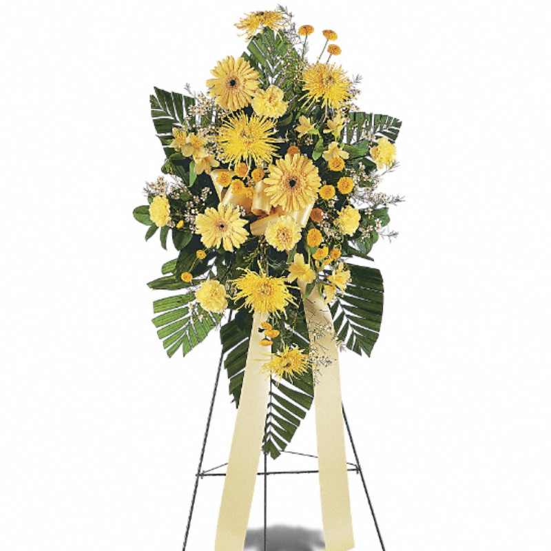 Brighter Blessing Spray - Same Day Delivery