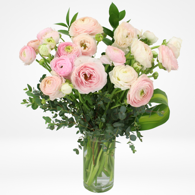 ROSY RANUNCULUS - Same Day Delivery