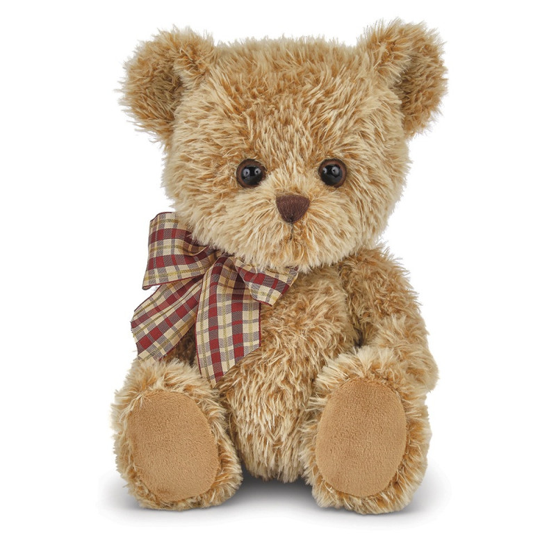 Small Shaggy Teddy Bear - Same Day Delivery