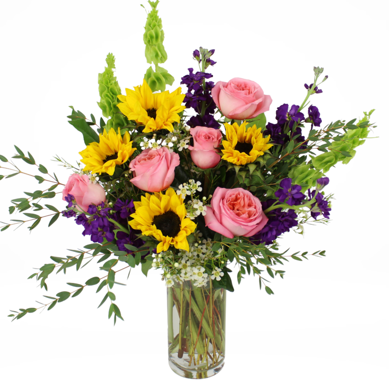 SONGBIRD - Same Day Delivery