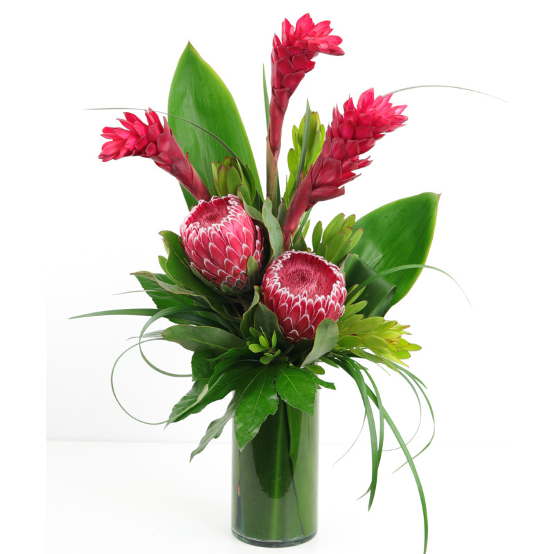 ISLAND IN THE SUN - Same Day Delivery