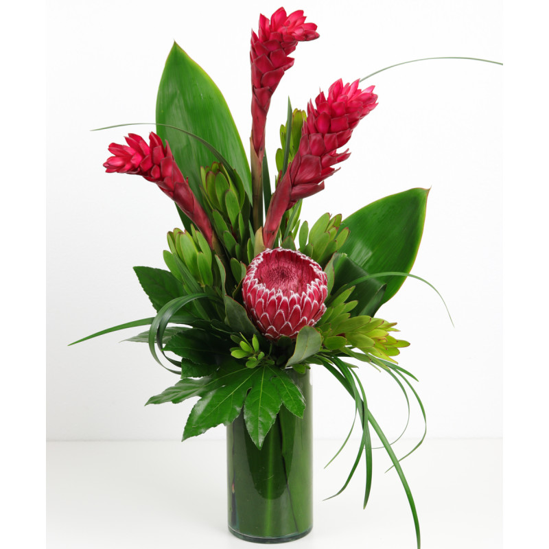 ISLAND IN THE SUN - Same Day Delivery