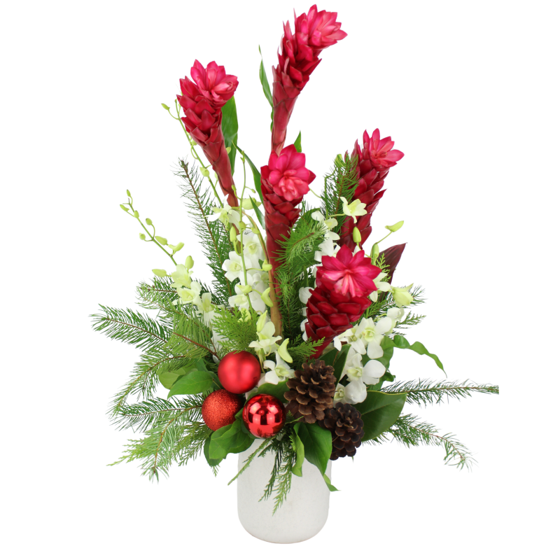 WINTER TROPICS - Same Day Delivery