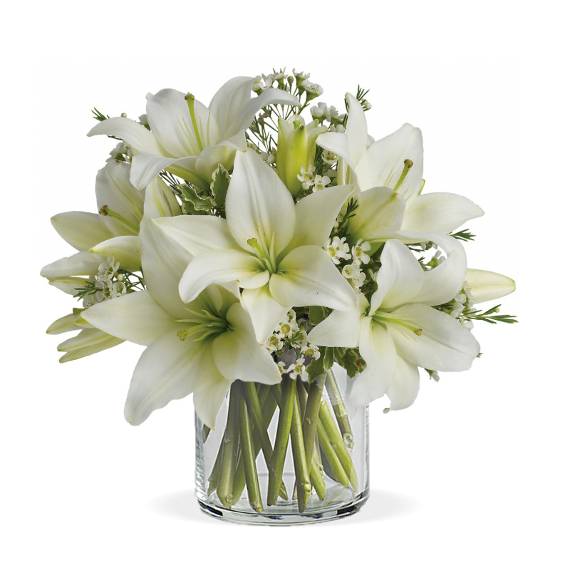 SUPER WHITE LILIES - Same Day Delivery
