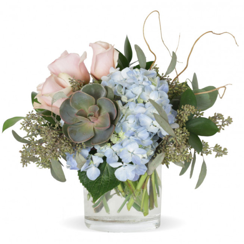 FIRST IMPRESSIONS - Same Day Delivery