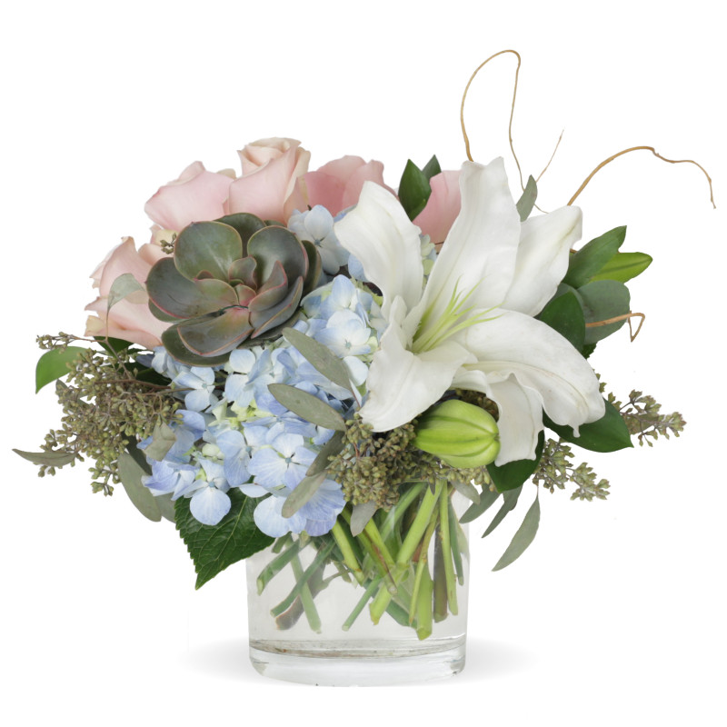 FIRST IMPRESSIONS - Same Day Delivery