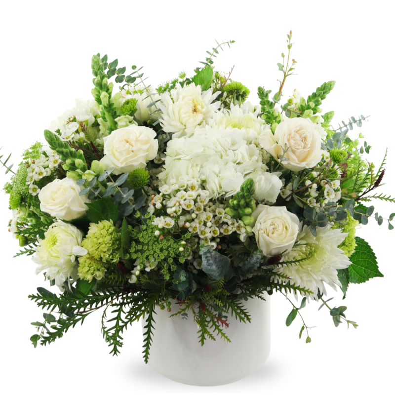 CALI WHITES - Same Day Delivery