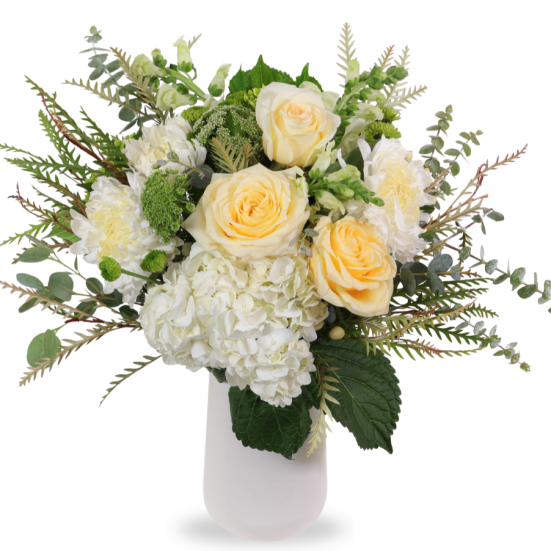 CALI WHITES - Same Day Delivery