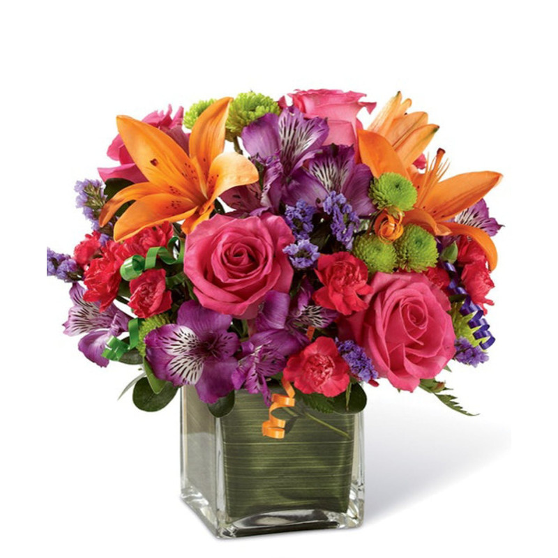 CELEBRATION - Same Day Delivery