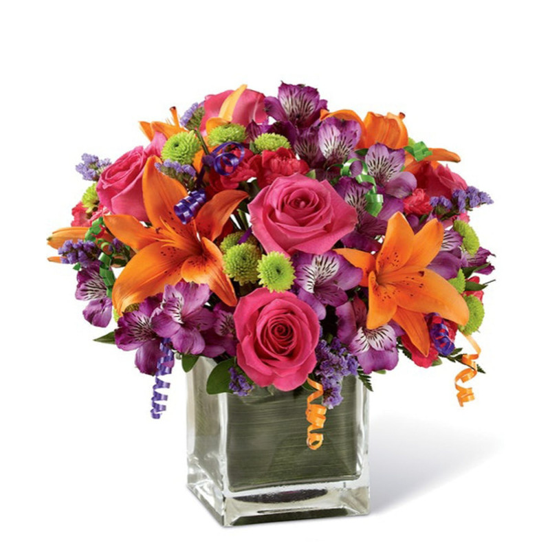 CELEBRATION - Same Day Delivery