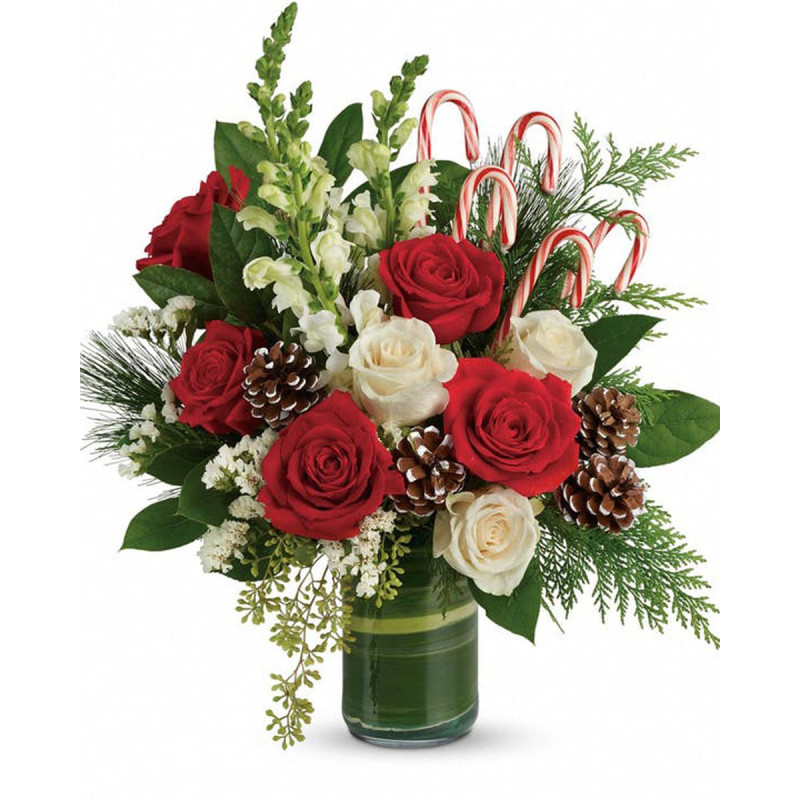 CHRISTMAS BLISS - Same Day Delivery