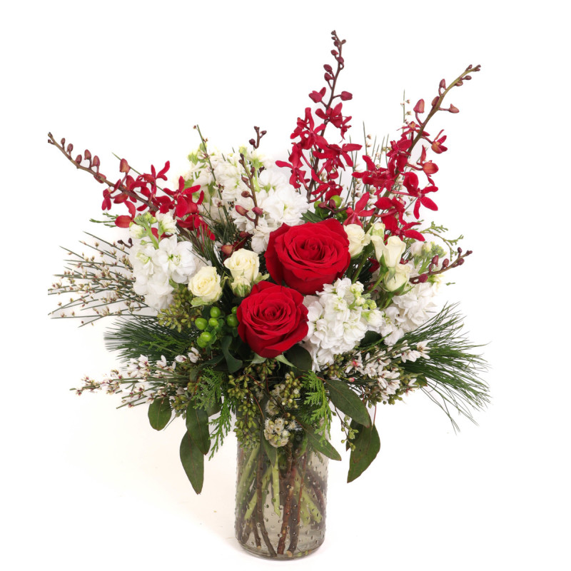 SUGAR PLUM - Same Day Delivery