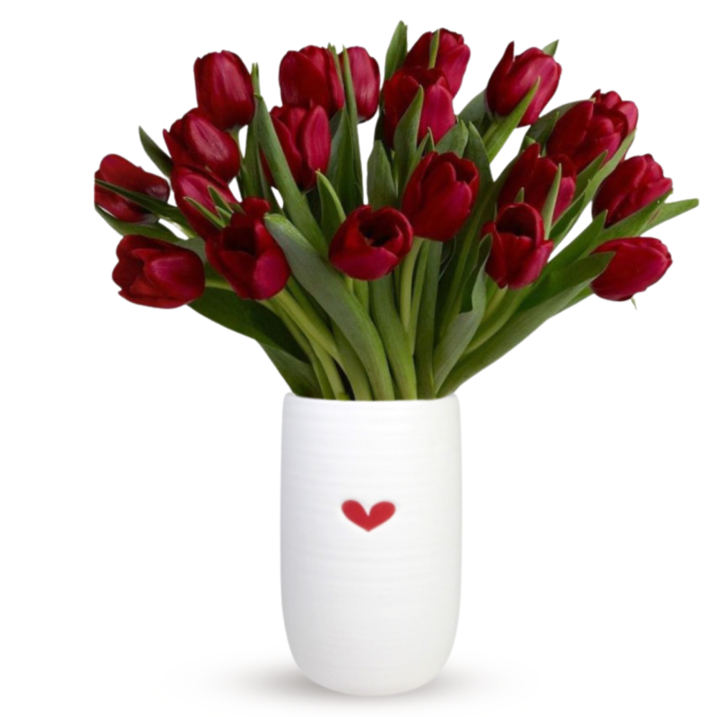 DOTTIES RED TULIPS - Same Day Delivery
